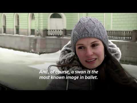 Youtube video image