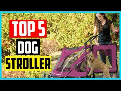 ✅ Top 5 best Dog Stroller in 2022  Buyer’s Guide