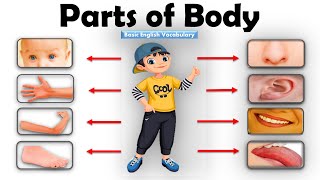 Download lagu Learn Parts Of Body Name | Parts of Body Name in English | Human Body Parts | Basic English Learning mp3 Download lagu Learn Parts Of Body Name | Parts of Body Name in English | Human Body Parts | Basic English Learning mp3