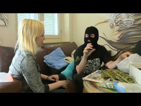 Cannabis Droge und Medizin VICE Alps 1. Teil