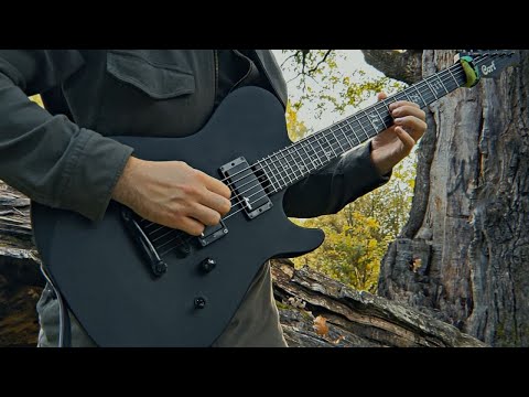 My Skin Is Multicam — My Vision Is Pure (Guitar Playthrough)