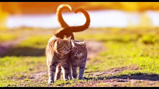 Regalame Un Minuto Mas - Luis Fonsi (Letra)