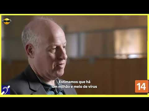 Tv Educativa Cortes Netflix Explicando A Próxima Pandemia Dublado e com Legendas Surdez Hipoacusia  Corte 02
