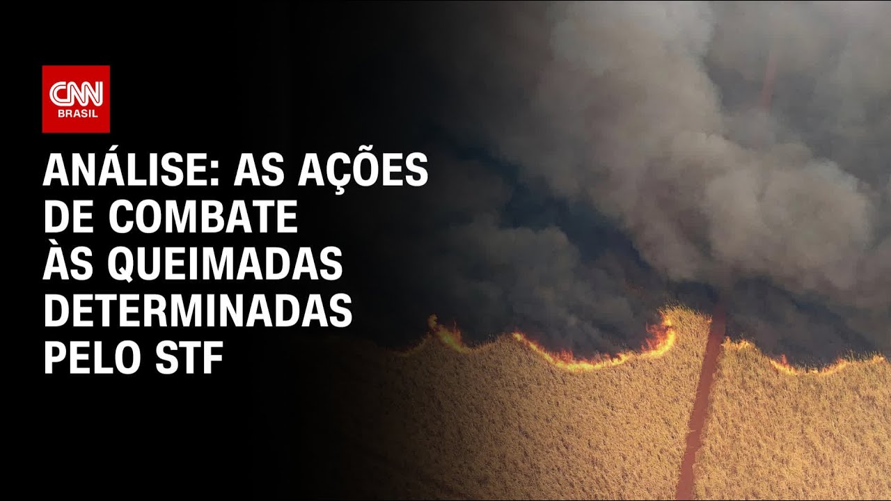 Análise: As ações de combate às queimadas determinadas pelo STF | WW