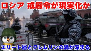 【ペンギン閣下】エリート層VSクレムリン！勝者はどちらか！？【国際情勢】