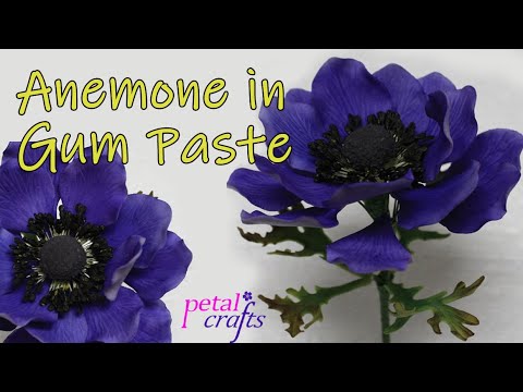 Pastry Chef teaches how to make Gum paste Anemone for Cake Decorating