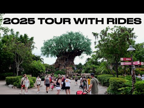 Disney's Animal Kingdom 2025 Complete Walkthrough Experience w/ Rides in 4K | Walt Disney World 2025