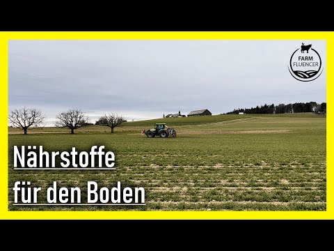 Wie viel Stickstoff ist in Gülle enthalten? | Winterweizen | Farmfluencer