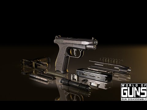 [World of GUNS]Quickly understand the principle and disassembly of GSh-18 pistol