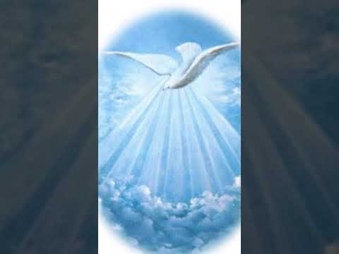 Mambo Yesu anovimbisa kuuya kwamweya mutsvene, Composed by Mr Tonganai ♥️