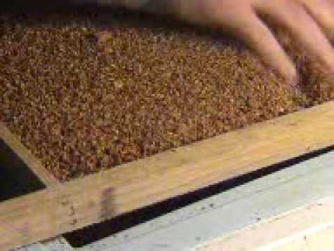 comment nettoyer propolis