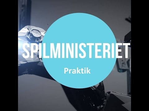 Praktik hos "Spilministeriet" - Interviews