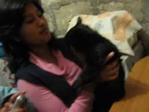 Giuliana se chapa a Ximuelito.avi