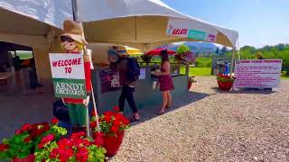 Cherry Picking #kelowna #britishcolumbia #canada