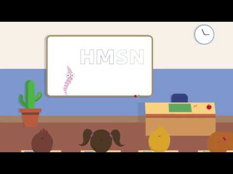 Wat is HMSN?