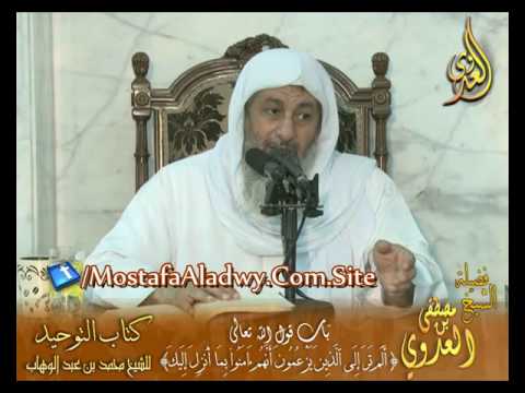  قرة عيون الموحدين – قوله تعالى (ألم تر إلى الذين يزعمون أنهم آمنوا بما أنزل إليك) الشيخ مصطفى العدوي 