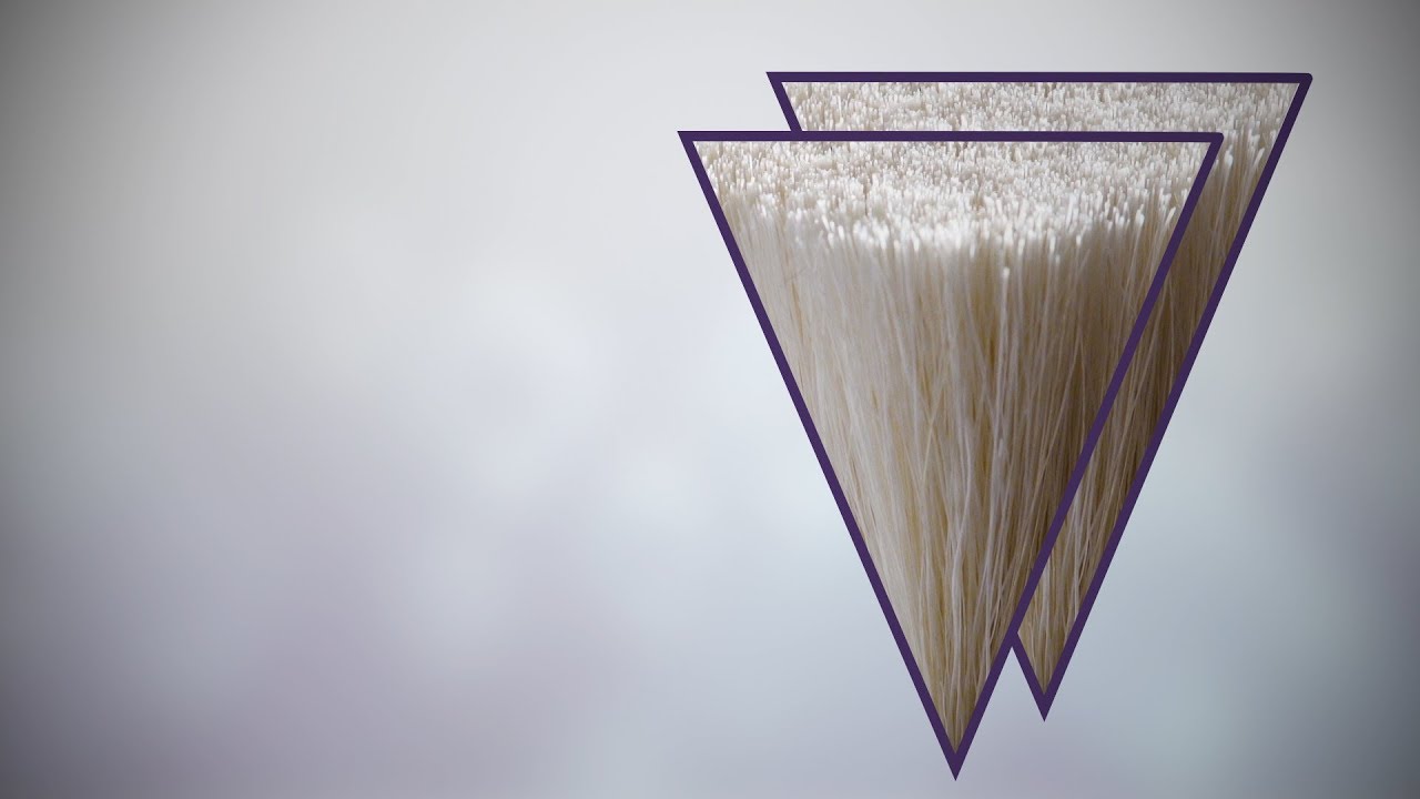 この毛、何の毛？