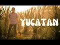 Yucatan Guitar Summit with Guitarist David Barrett