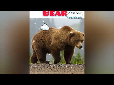 20 Animal and birds name (Guessing game) with sound #brainteaser #learning