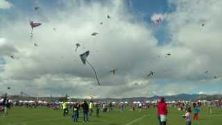 preview picture of video 'Arvada Kite Festival'