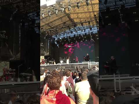 Weyes Blood - God Turn Me Into a Flower (Live @ Santiago, Chile 24/11/2023)