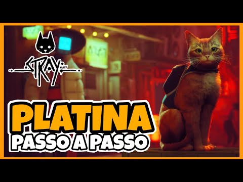 STRAY - GUIA PRÁTICO DA PLATINA