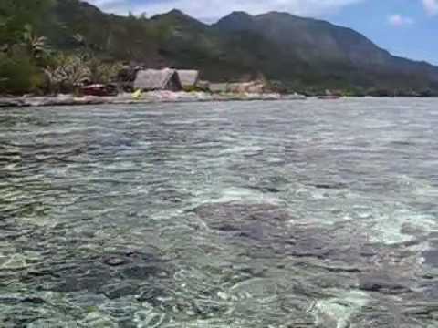 Tahiti Moorea - Lagoonarium-ul de la Motu Ahi (4)