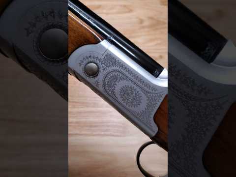 Recoil \u0026 Reliability of the Pointer Acrius