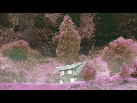 gothurted - Grow Old (Official Visualizer)