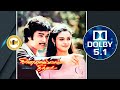 Pani Vizhum Malar Vanam I பனி விழும் I NINAIVELLAAM NITHYA I Ilayaraja I 32 Float 