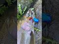 Oregon Coho Salmon Fishing Big Hen