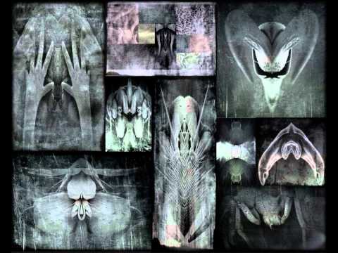 VV303 - Final Solution (A2Hybrid) 2011.