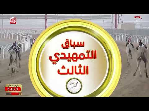 ش 1 (أريام) لـ سالم حمد بن راشد المخيبي 6:14:80 ، مهرجان العين 2026/09/16 إيذاع الروضة