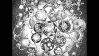 Long distance calling - Time bends