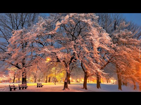 ♫ Beautiful winter melody ♫ Зимняя мелодия для души ♫
