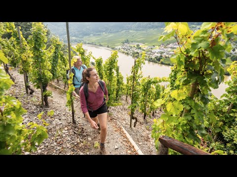 Moselsteig - Dein Weg, mehr zu erleben.