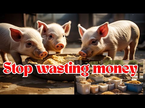 OBOH FARMS and OBOH Travels