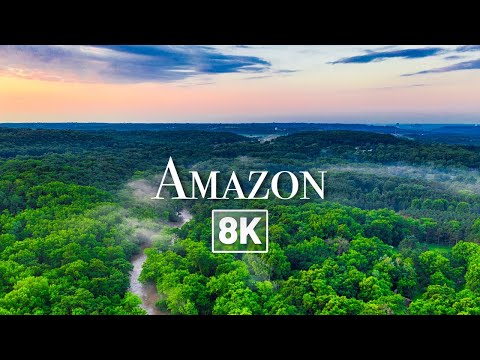 😲 [ 8K ] AMAZON RAINFOREST in 8K by DRONE (8K Ultra HD)(8K Drone Video)(Relaxing Music)