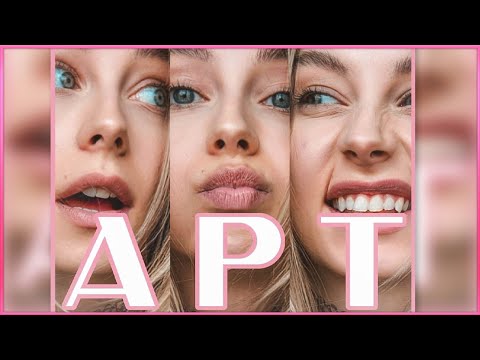 JenNyan feat. Chillyman  ♪ APT [Cover Song ]