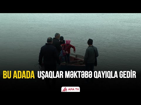 Kürlə Xəzər arasında keçən ömür: Sübh adasından reportaj | APA TV