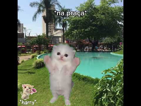 pov: você foi para Anápolis Goiás