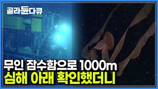 우리가 심해에 대해 알고 있는 것은 ‘달’보다도 적다
