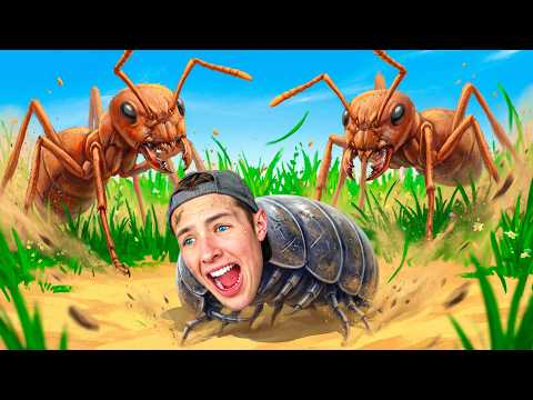 I Became a Roly Poly bug...