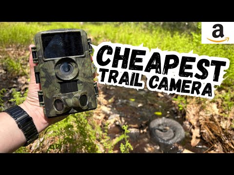 Amazons CHEAPEST Trail Camera - Worth It?!