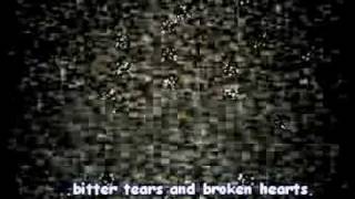 Hayley WIlliams - Teenagers [Full song + Lyrics]