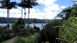 Cairns Queensland Australia Video