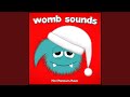 Womb Sounds