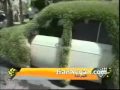 Dude Decorates His Car With Sprout