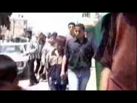 Tal'fine - Free palestine