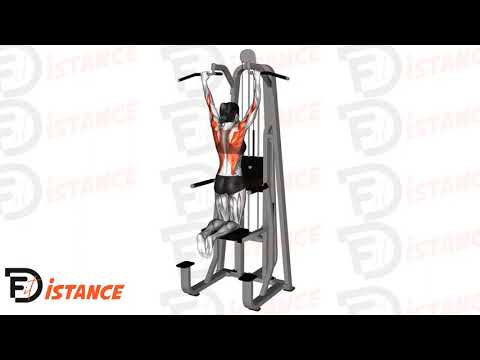 Exercice Traction assistées